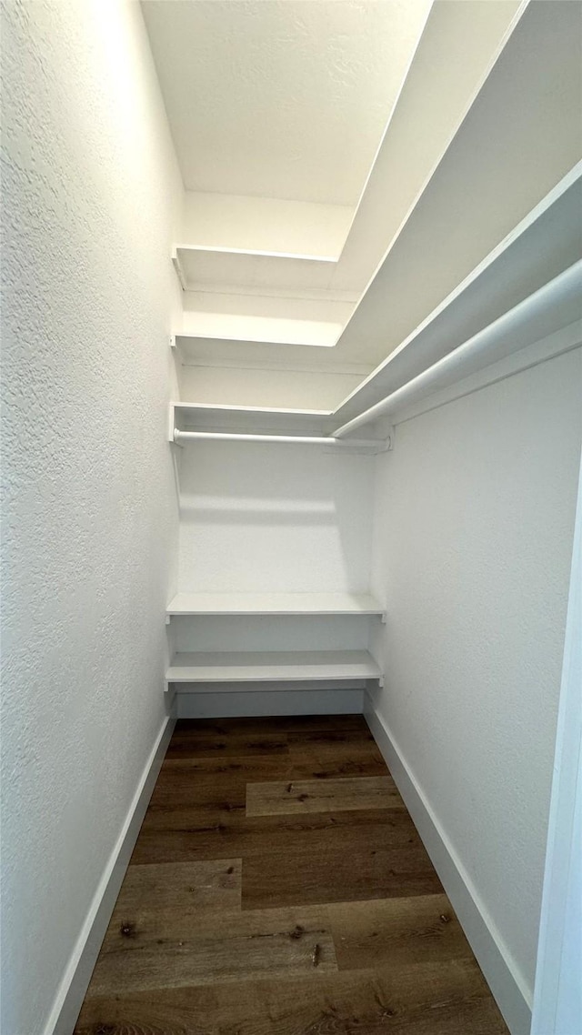 walk in closet with dark wood-type flooring