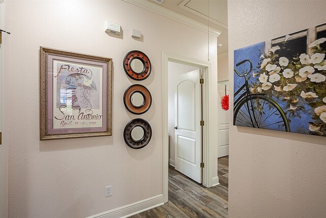 hallway with dark wood-type flooring and crown molding