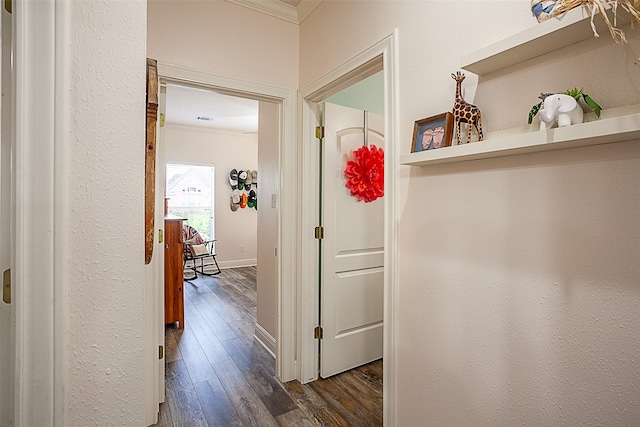 hallway featuring ornamental molding and hardwood / wood-style flooring