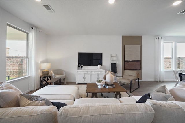 living room featuring light hardwood / wood-style floors