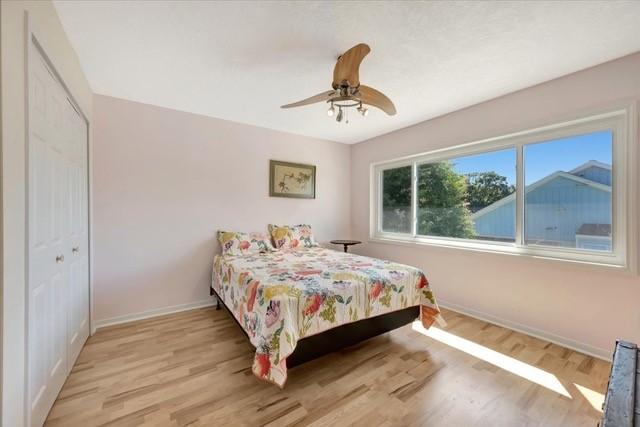 2601 Christopher Sq, Galveston, TX 77551 - bedroom featuring baseboards, wood finished floors, and ceiling fan