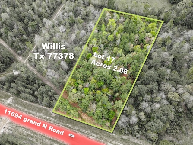 11694 Grand N Rd, Willis, TX 77378