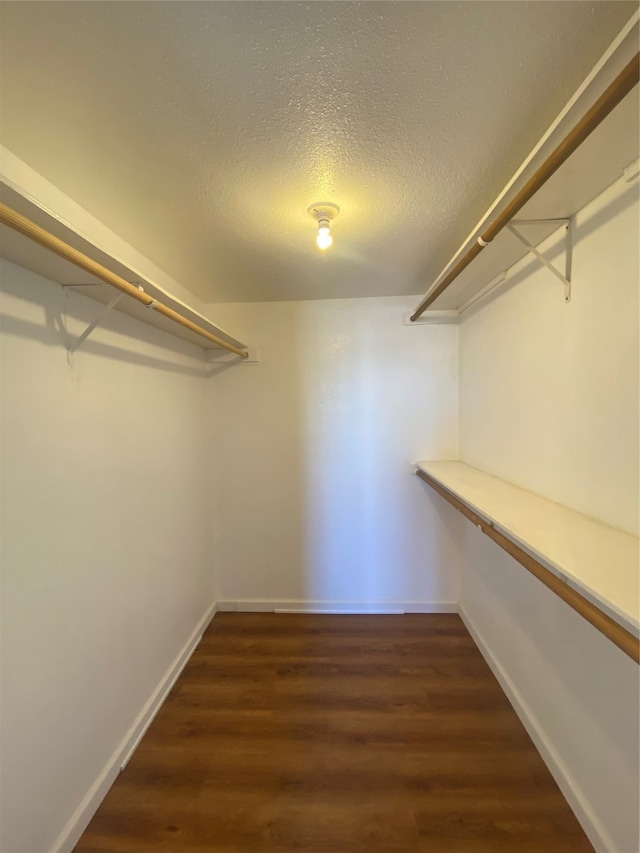 walk in closet with dark hardwood / wood-style floors