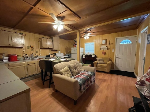 8860 S State Highway 71, El Campo, TX 77437 - living room featuring light wood-style flooring and a ceiling fan