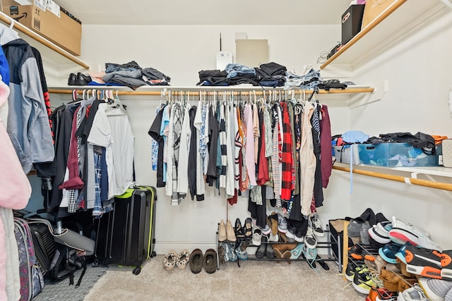 spacious closet with carpet