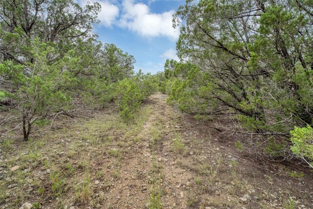 120 Patriotic Dr, Fischer, TX 78623