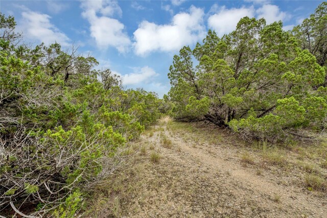 120 Patriotic Dr, Fischer, TX 78623