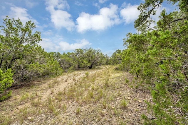 120 Patriotic Dr, Fischer, TX 78623