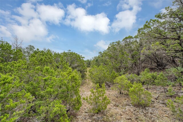 120 Patriotic Dr, Fischer, TX 78623