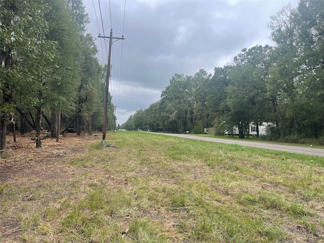 TractC Mangum Road, TX, 77351 land for sale