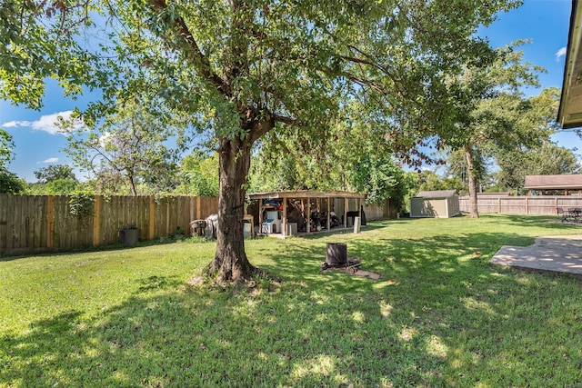 view of yard with a storage shed