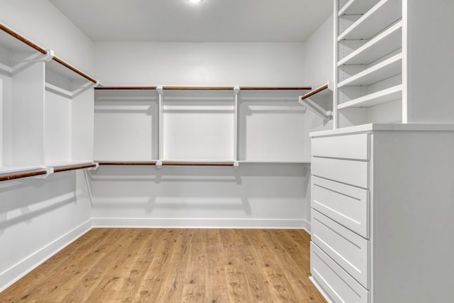 spacious closet featuring light hardwood / wood-style floors