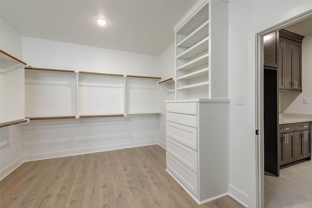 spacious closet featuring light wood-type flooring