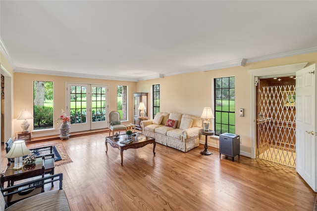 living room featuring ornamental molding and light hardwood / wood-style floors