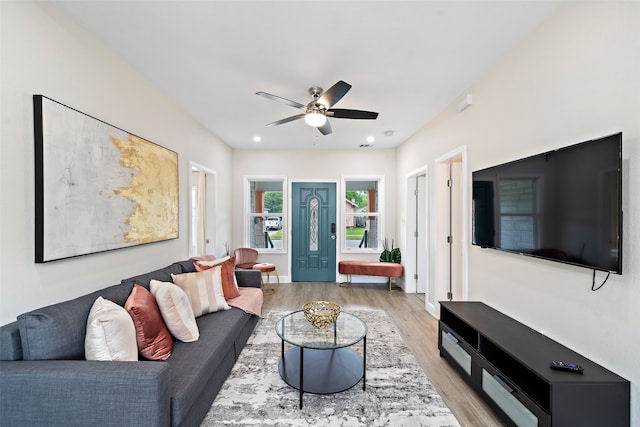 living room with ceiling fan and light hardwood / wood-style flooring