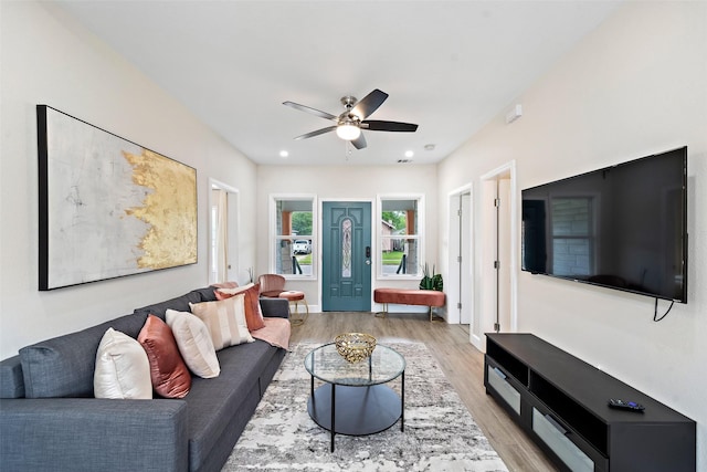 living room with ceiling fan and light wood-type flooring