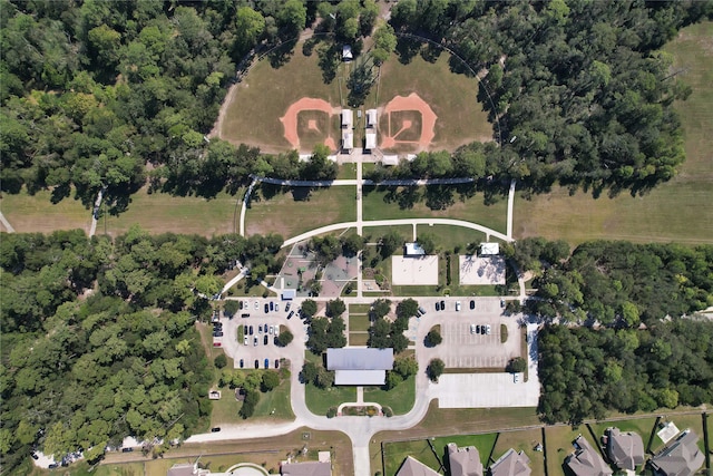 aerial view