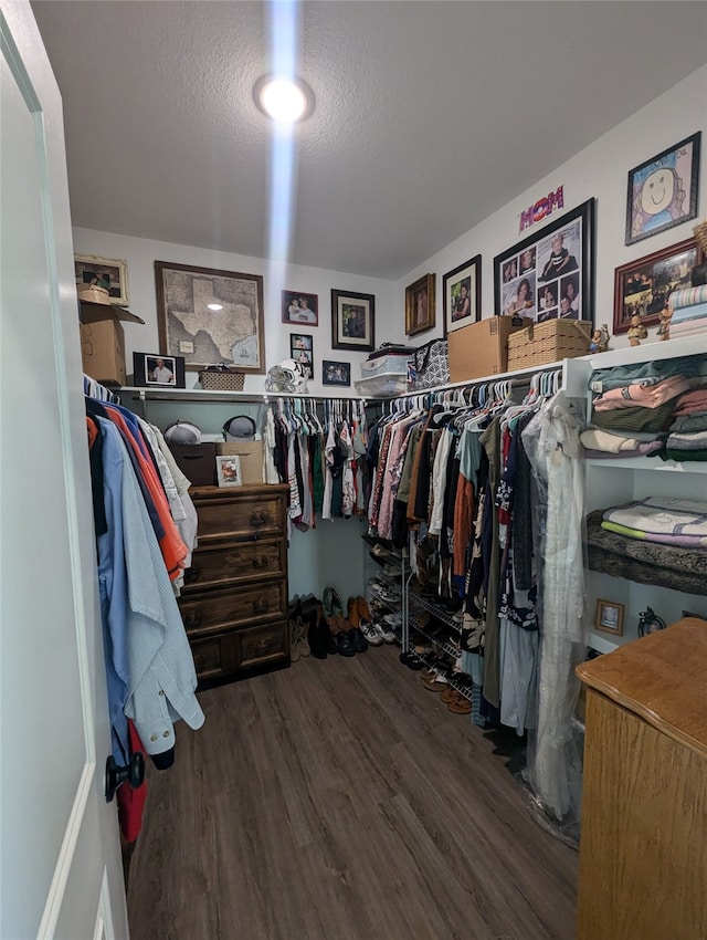 spacious closet with dark hardwood / wood-style flooring