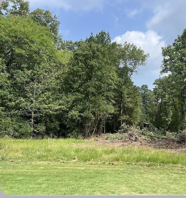46 Greenway Dr, Trinity, TX 75862 - photo 1