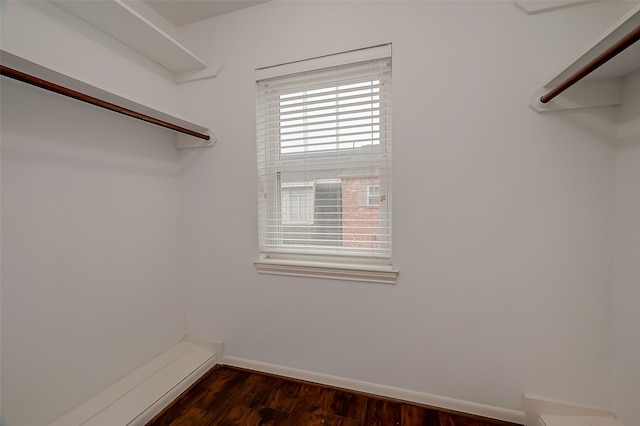 spacious closet featuring dark wood-type flooring