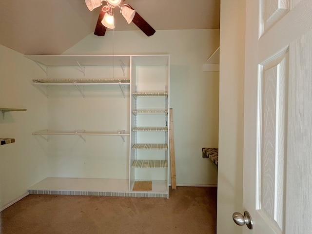 walk in closet with ceiling fan and carpet