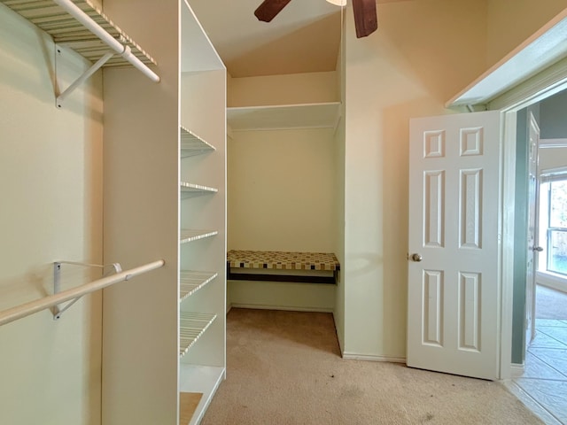 spacious closet featuring light colored carpet and ceiling fan