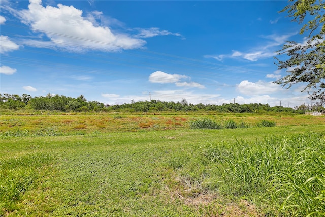 view of local wilderness with a rural view