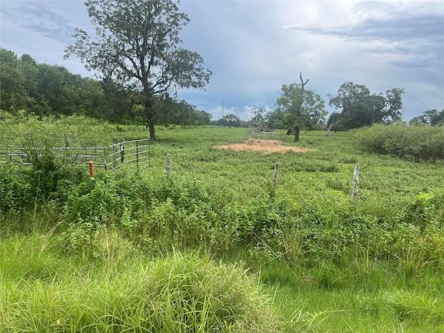 0 County Road 244, Brazoria, TX 77422 - photo 1