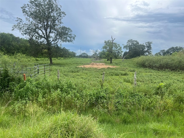0 County Road 244, Brazoria, TX 77422 - photo 2