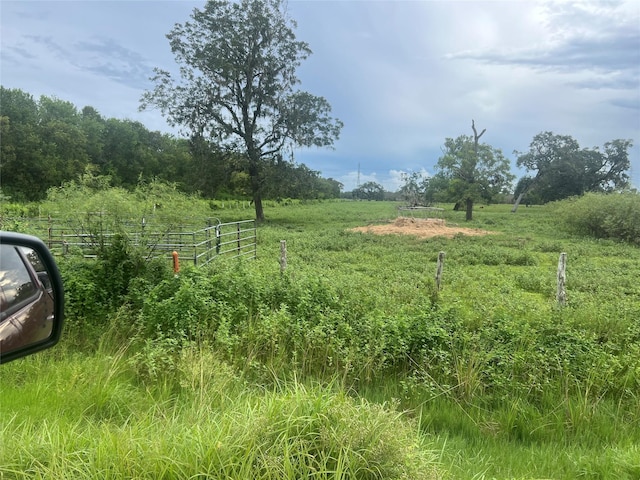 0 County Road 244, Brazoria, TX 77422 - photo 3