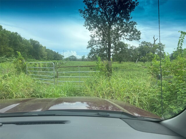 0 County Road 244, Brazoria, TX 77422 - photo 4