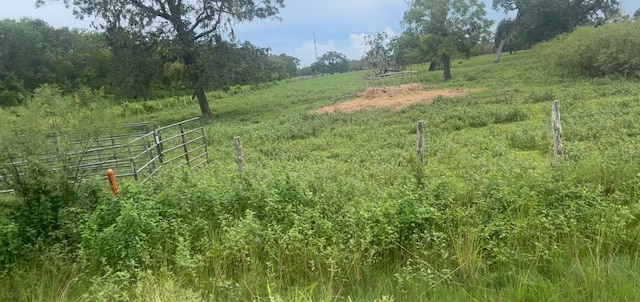 0 County Road 244, Brazoria, TX 77422 - photo 5