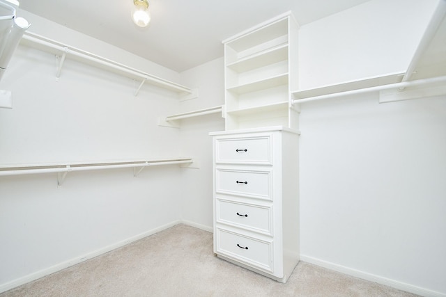 spacious closet with light carpet