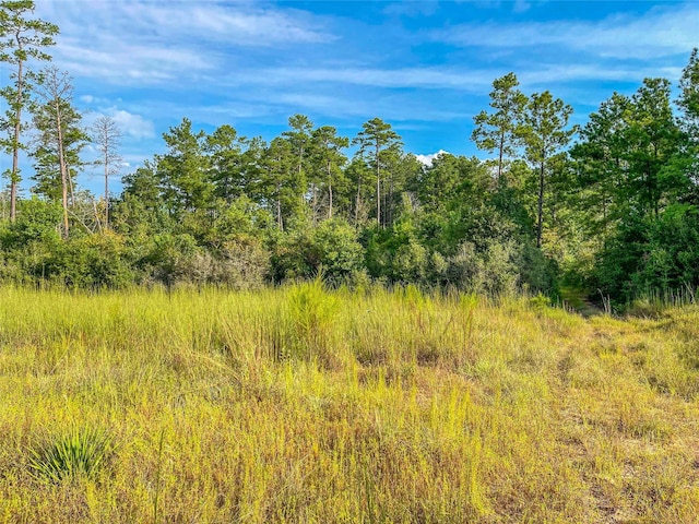 TBD Fm 2626, Newton TX, 75966 land for sale