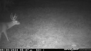 TBD Reinecker Rd, Wallis, TX 77485