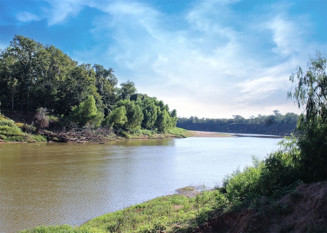 TBD Reinecker Rd, Wallis, TX 77485