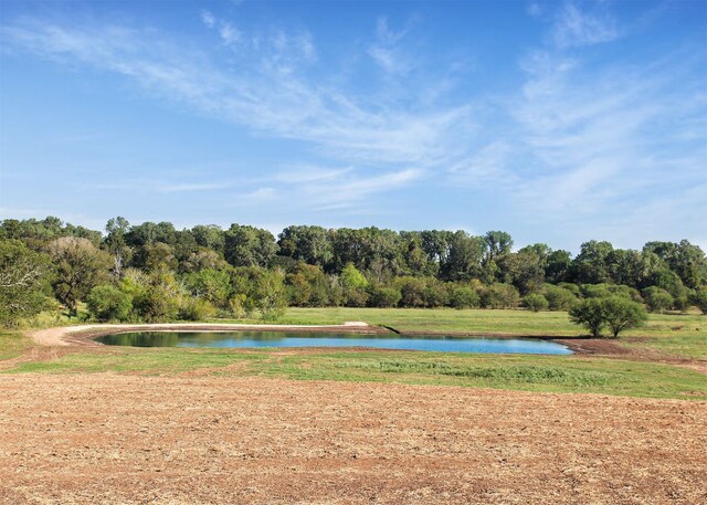 TBD Reinecker Rd, Wallis, TX 77485