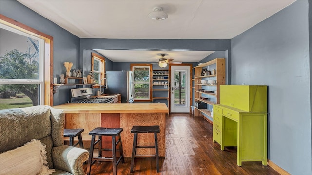 kitchen featuring ceiling fan, wood counters, dark wood-type flooring, green cabinetry, and appliances with stainless steel finishes