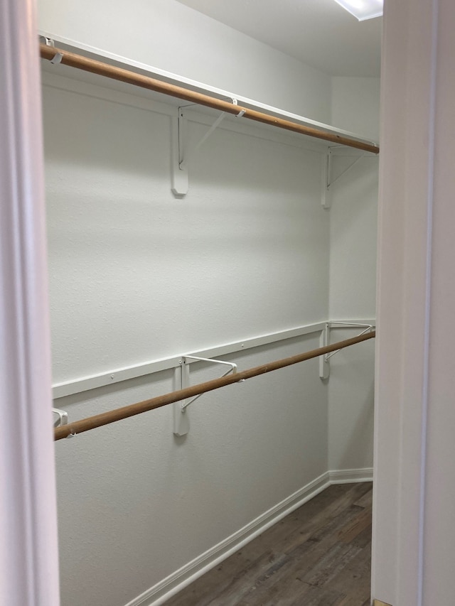 walk in closet featuring dark hardwood / wood-style flooring