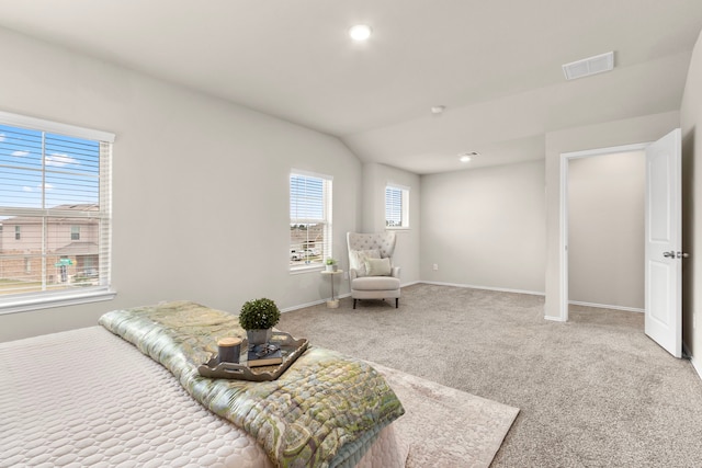 carpeted bedroom with lofted ceiling