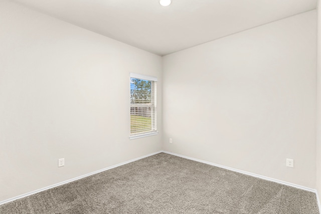 spare room with carpet floors