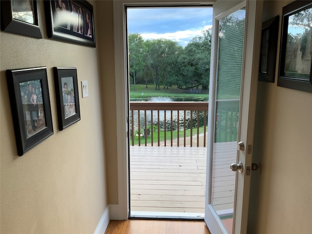 doorway with light hardwood / wood-style flooring, a water view, and a wealth of natural light