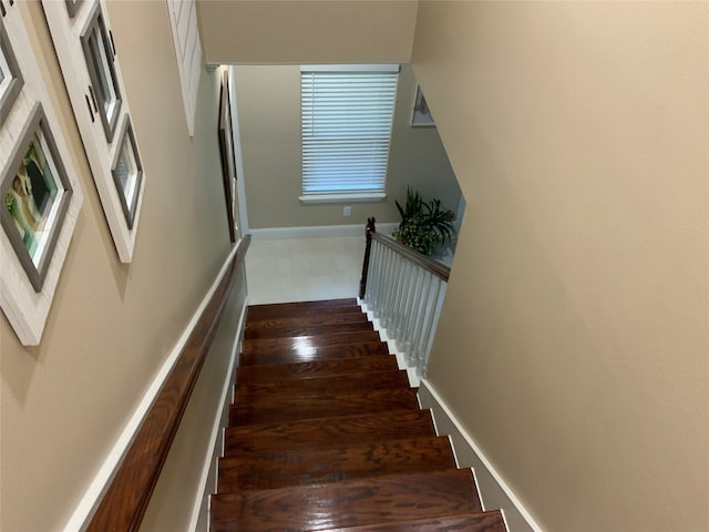 staircase with hardwood / wood-style floors