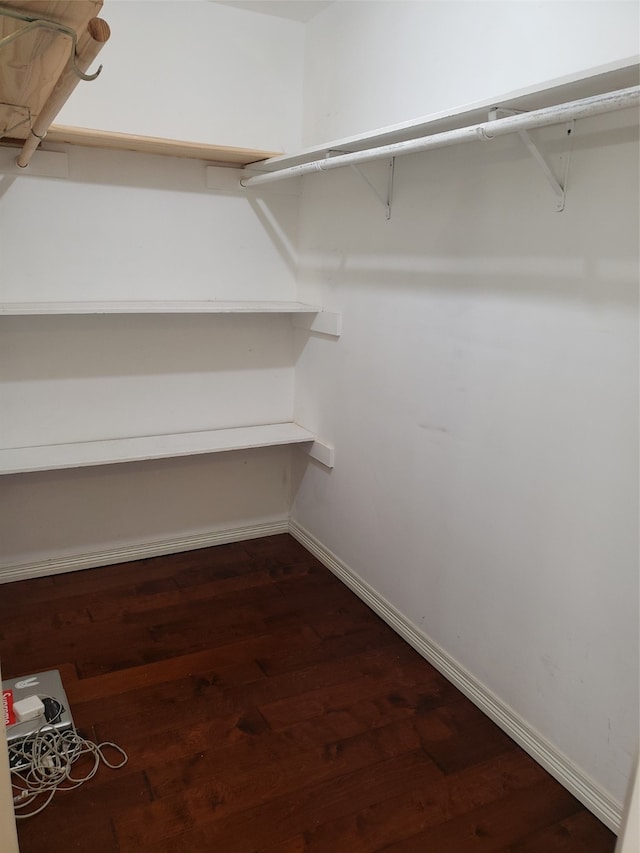 walk in closet featuring hardwood / wood-style floors