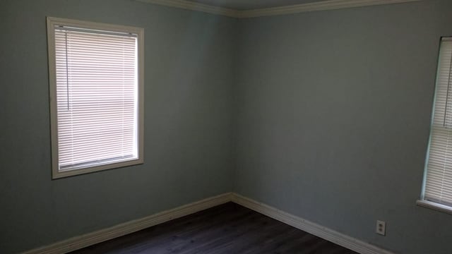 spare room with crown molding and dark hardwood / wood-style floors