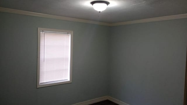 spare room featuring crown molding and plenty of natural light