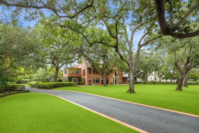 view of home's community with a lawn