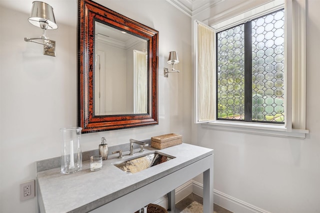 bathroom with sink and crown molding