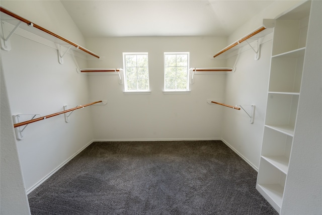 spacious closet with carpet floors