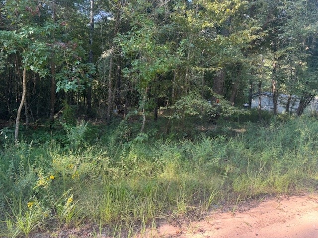 0 L C Herschap Ln, Livingston TX, 77351 land for sale